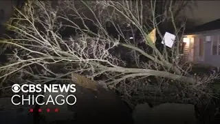 Severe storms leave widespread damage in Central Illinois