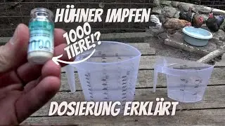Hühner Tipp 26 - Hühner impfen - Impfpflicht gegen Newcastle Disease