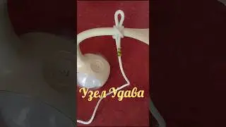Basic Knots.Узел Удава(Констриктор)#shorts