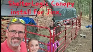 Shelter Logic Canopy for Jinx