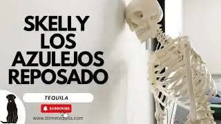 Skelly Los Azulejos Reposado