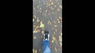 Reebok. Reebok Mobius OG.
