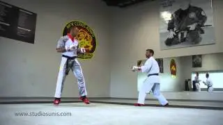 Studios Unis de Karat&eacute; - Techniques