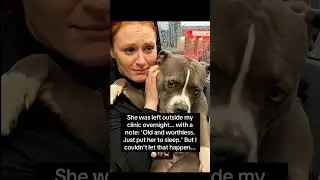 This may save your dogs life