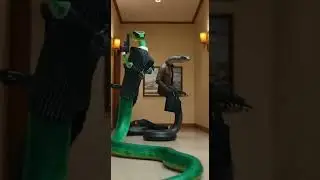 Snake Gang 🐍| Powerful Snakes Together | Action & Adventure Video