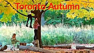 TORONTO HIGH PARK WALKING TOUR FALL SEASON CANADA