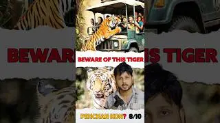 Who 🤔 is the World's most Popular Tiger? 🐯 | Bandhavgarh Tiger reserve forest