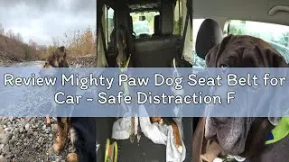 Review Mighty Paw Dog Seat Belt for Car - Safe Distraction Free Driving, Heavy-Duty Design with Avia