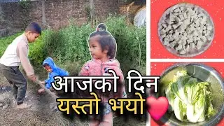 आज घर मा तोफु बनाएर खाइयो 😋 । Daily vlog
