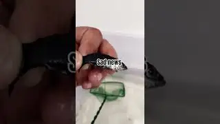 #beautiful #fish #sad #fishdeath #shorts #song #subscribe #pets #died#ytshorts#minivlog#nature #love