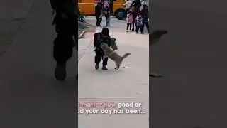 Pet Lovers