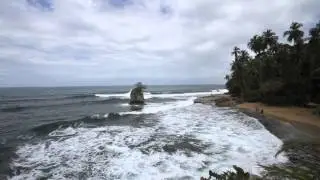 Manzanillo Beach - Costa Rica