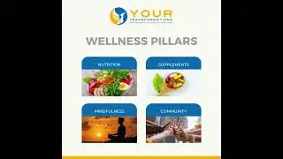 What are the wellness pillars?