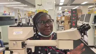 Yale Pathology & Yale Pathology Labs Celebrate National Medical Laboratories Professionals Week