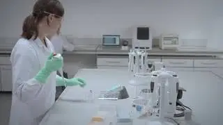 Sartorius Rapid & easy solution for reliable mycoplasma contamination control [EN]