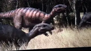 Dinosaur Herds