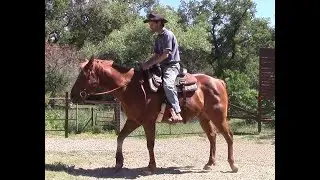 Introducing Your Legs To The Unbroke Horse (Preview), Mike Hughes Auburn Ca.