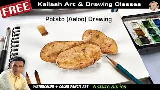 Aaloo (Potato) Watercolor + Color Pencil Drawing 💚🎨
