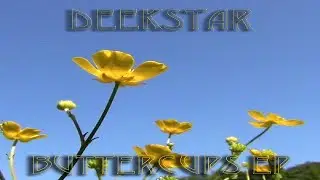 Buttercups EP The 4 Acoustic Tracks Music Video By Deekstar