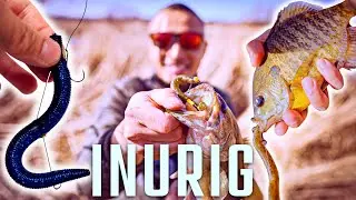 inu rig fishing in action | Fish can&rsquo;t stop biting it!
