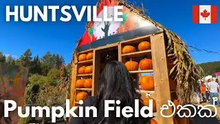 🎃 අපි කැනඩාවේ Pumpkin Field එකක් බලන්න ගියා 🍁 | Fall Vlog Sinhala 🇨🇦