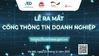 Launch of the VIETNAM BUSINESS INFORMATION PORTAL