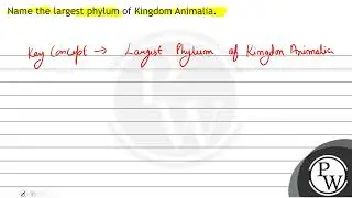 Name the largest phylum of Kingdom Animalia.
