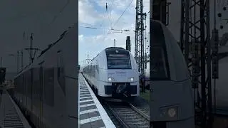 Desiro ML🔥😈 #music #train #zug #trainspotting #hobby #fyp | Koblenz | @Trainspotterin_KO