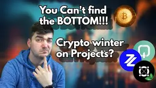 You can't find the Bitcoin Bottom l  Check on our favorite projects EGLD ZPAY QOWATT