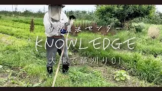 草刈りはスポーツだ！刃の滑らせ方のコツ　中川原さんの大鎌草刈り①