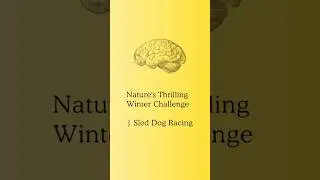 Nature's Thrilling Winter Challenge | Sled Dog Racing 🐕&zwj;🦺 #facts #animals #dogs