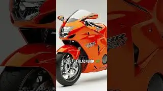 The bike that broke Speed record..#shortsfeed #bikelife #speedrecords #bikes #fastbikes #superbike
