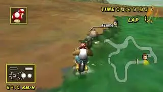 【CTGP WR】 Wetland Woods - 1:38.959 - 64