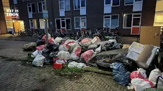 STANKOVERLAST EN ONGEDIERTE DOOR ZWERFAFVAL CRUYSHAAG
