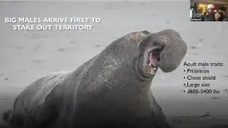Amazing Secrets of Point Reyes Elephant Seals with Frank Binney