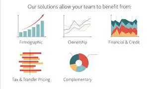 Tax and Transfer Pricing I Managing Risk of Tax and Transfer Pricing I Explainer Video