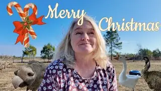 The Real Christmas on the Farm