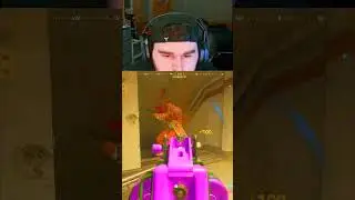 this LADRA BUILD absolutely MELTS on Rebirth Island!