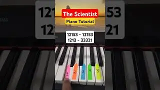 The Scientist - Easy Tutorial for Beginners