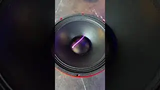 SPEAKER WOOFER , XSYS,12 INCH,12XLS300,VC 3 INCH,600W