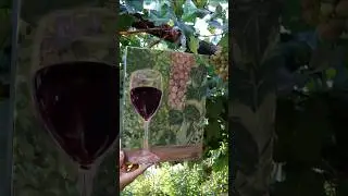 wine Art|Glass of wine| red wine painting