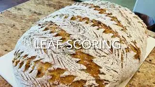 INCLUSION HERBS AND SPICES-LEAVES SCORING-OPEN BAKE