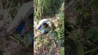 เกือบออกบ่อได้555 #funny  #comedy  #travel