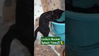 Lucky&rsquo;s Bucket Splash Time