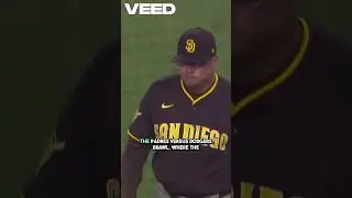 Top 3 Baseball Fights That Shook the MLB