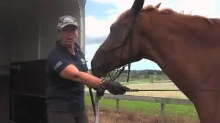 Fiber Fresh Feeds Equine TV: EP 47 - Float Training continued