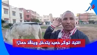 سيدي سليمان.. التيك توكر حميد يتدخل وينقذ حمارًا تائهًا في لفتة إنسانية مؤثرة..التفاصيل