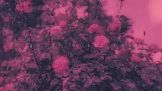 light, ateki - euphoria