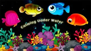 𝗙𝗶𝘀𝗵 𝗔𝗾𝘂𝗮𝗿𝗶𝘂𝗺🐠🐡🐟 | 𝗖𝗮𝗹𝗺𝗶𝗻𝗴 𝗨𝗻𝗱𝗲𝗿 𝗪𝗮𝘁𝗲𝗿💤 | 𝗠𝗲𝗱𝗶𝘁𝗮𝘁𝗶𝗼𝗻❤✨