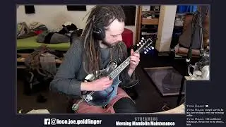 Morning Mandolin Maintenace :: New String Day == Best Day!